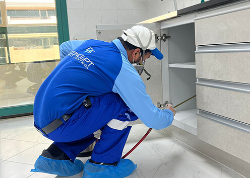 Pest Control Dubai