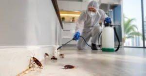 Cockroach Pest Control Dubai
